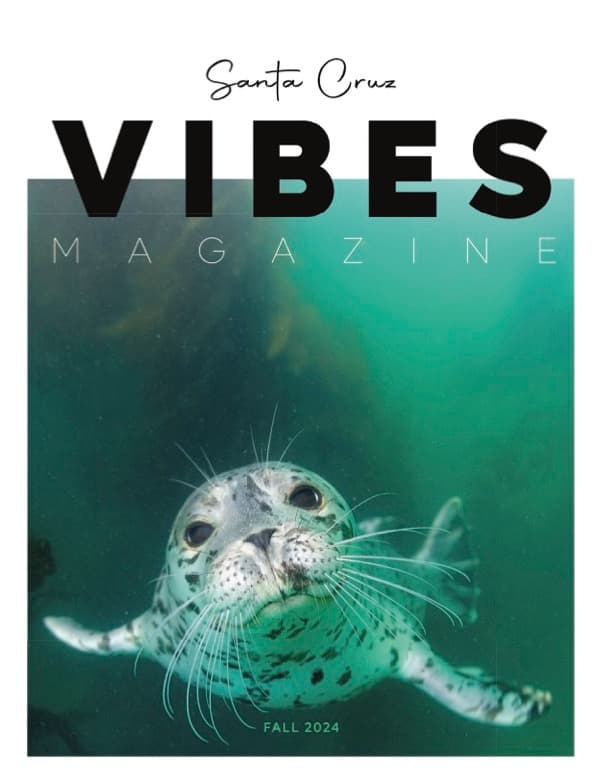 Santa Cruz Vibes Magazine Issue 6 Cover featuring a seal swimming in the ocean